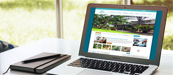 Thiết kế website tại Phan Thiết Bình Thuận nên chọn giá bao nhiêu là hợp lý