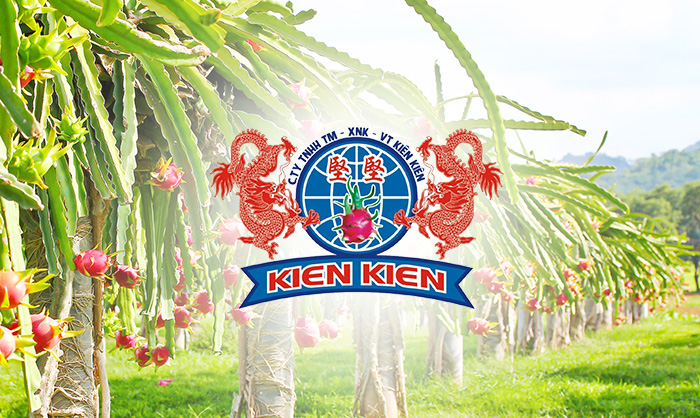 Công ty Tính Thành bàn giao khai trương website Thanh Long Kiên Kiên