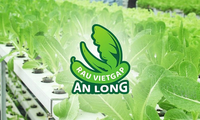 Tính Thành bàn giao website Hợp tác xã Rau Vietgap Phú Long