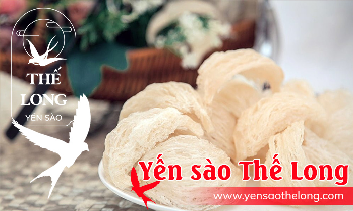 Tính Thành bàn giao khai trương website Yến sào Thế Long.