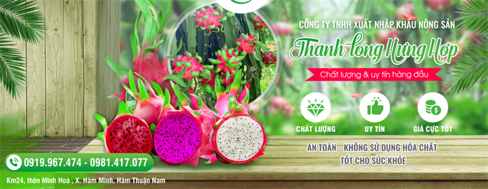 Tính Thành bàn giao khai trương website Thanh Long Hưng Hợp