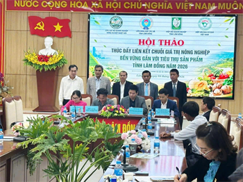 Tính Thành bàn giao khai trương Website B2B HTX Nam Hà Highfarm