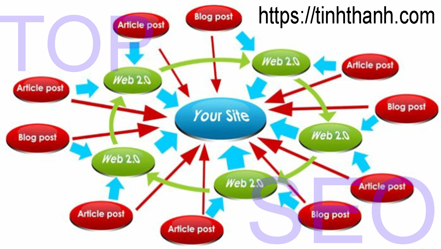Mô hình baclklink thiết kế website Bình Thuận
